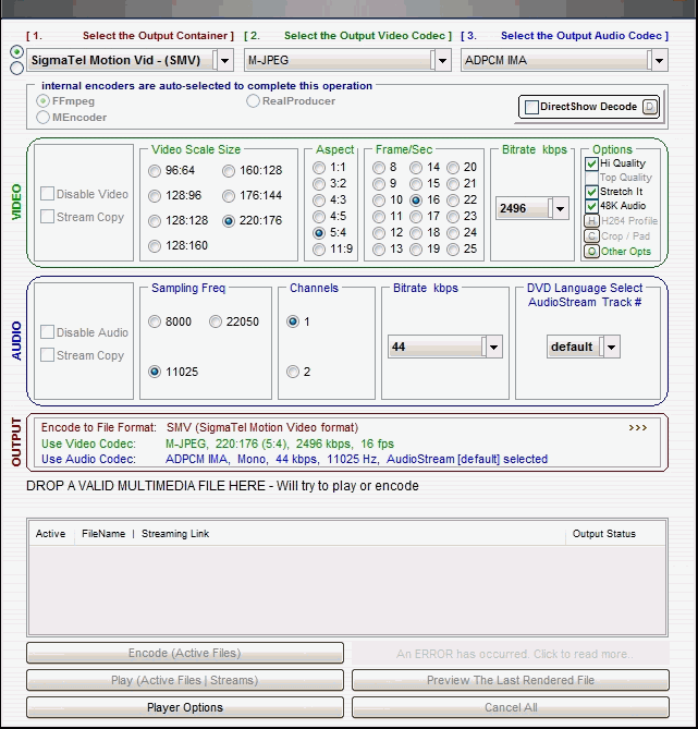 Smv video formats